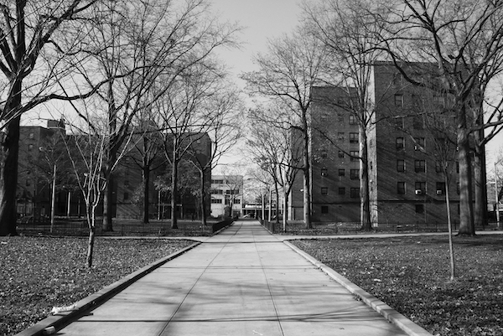 Sheepshead Nostrand Houses